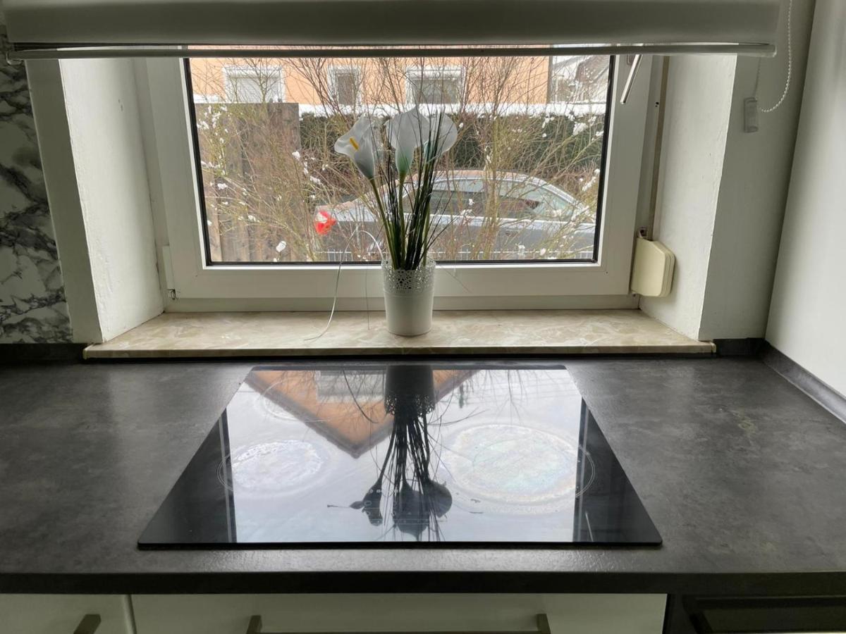 Guntia Apartment Mit Grossem Garten Günzburg Eksteriør billede